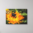 Search for bumble bee canvas prints Yellow