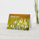 Search for snowdrop flower cards Nature