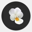 Search for isolation stickers Background