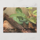 Recherche de python cartes postales Zoo