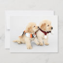Search for golden puppy cards Golden retriever puppies