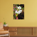 Search for moth posters Flowers