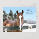 Search for equine holiday cards Merry