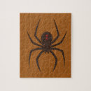 Search for spider web puzzles Cobweb