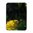 Search for bumblebee magnets Garden