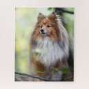 Search for shetland sheepdog puzzles Cute