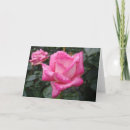 Search for 2 tone cards Pink