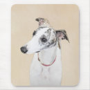 Recherche de whippet tapis souris Chiot