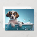 Recherche de de bain cartes postales Chiot