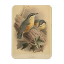 Recherche de illustrations magnets Nature