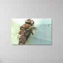 Search for part 1 canvas prints France