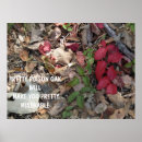 Search for poisonous art Red