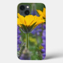Search for abundant ipad cases Bright
