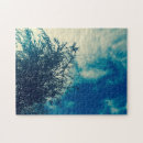 Search for weeping willow tree Landscape