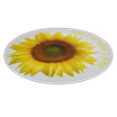 Recherche de citation tournesol Pour eux