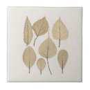 Recherche de dessin feuille carreaux Feuilles