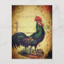 Recherche de vintage coq cartes postales Français