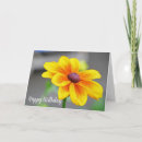 Search for single flower cards Rose