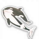 Recherche de orca autocollants Maritime