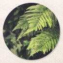 Search for green fern coasters Nature