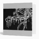 Search for winter storm binders Nature
