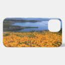 Search for california poppies iphone cases Nature