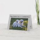 Search for golden retriever mothers day cards Animal
