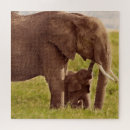 Search for kenya puzzles Animals