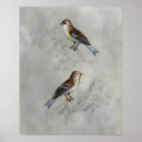 Search for two birds posters Animals