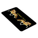 Recherche de islandais magnets Poney