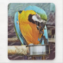 Recherche de perroquet mignon tapis souris Pour tous