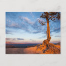 Search for mood photography Scenics