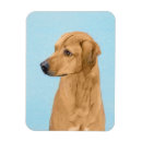 Search for ridgebacks magnets Puppy