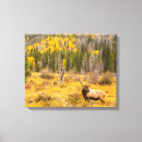 Search for danita delimont canvas prints Cathy