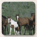 Recherche de mustang dessous de verres Équestre