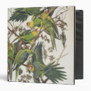 Search for parakeets binders Bird