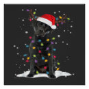 Search for christmas tree posters Dog