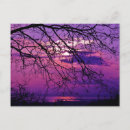 Search for intensive postcards Water