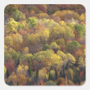 Search for vermont usa stickers Scenic