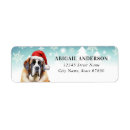 Search for saint bernard return address labels Dog