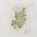 Recherche de vieille dentelle cartes postales Pour elle