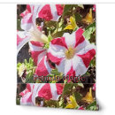 Recherche de pétunia Botanique