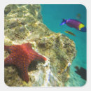 Search for male female stickers Wildlife