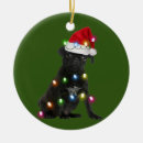 Search for black pug ornaments Pajama