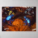 Search for poison dart frogs posters Amphibians