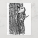 Recherche de ventre cartes postales Illustration