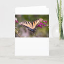Search for pollinators cards Flower
