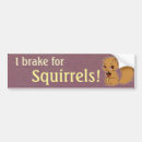 Search for squirrel bumper stickers I brake for squirrels
