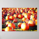 Search for patch posters October