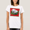 Search for bichon christmas clothing Pets
